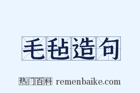 毛毡造句是什么意思的图片